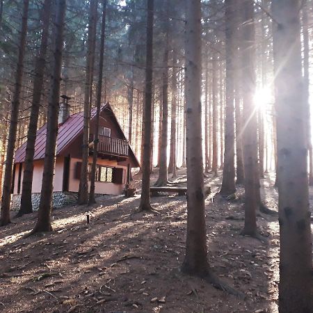 Chata Adavy Liptovský Ján Exteriör bild