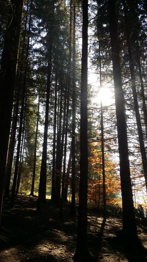 Chata Adavy Liptovský Ján Exteriör bild