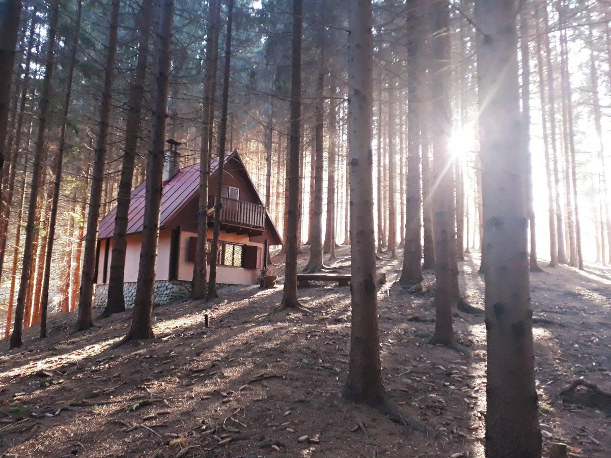 Chata Adavy Liptovský Ján Exteriör bild