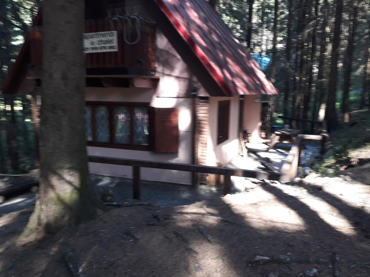 Chata Adavy Liptovský Ján Exteriör bild